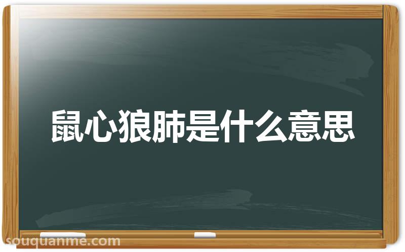 鼠心狼肺是什么意思 鼠心狼肺的拼音 鼠心狼肺的成语解释